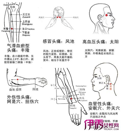 中平穴|中平穴（肩周穴,肩痛穴）位位置图